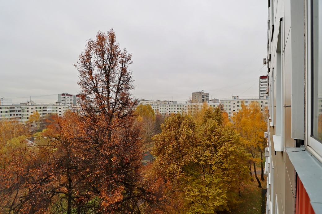 Фото №10 - Востряковский 5к2