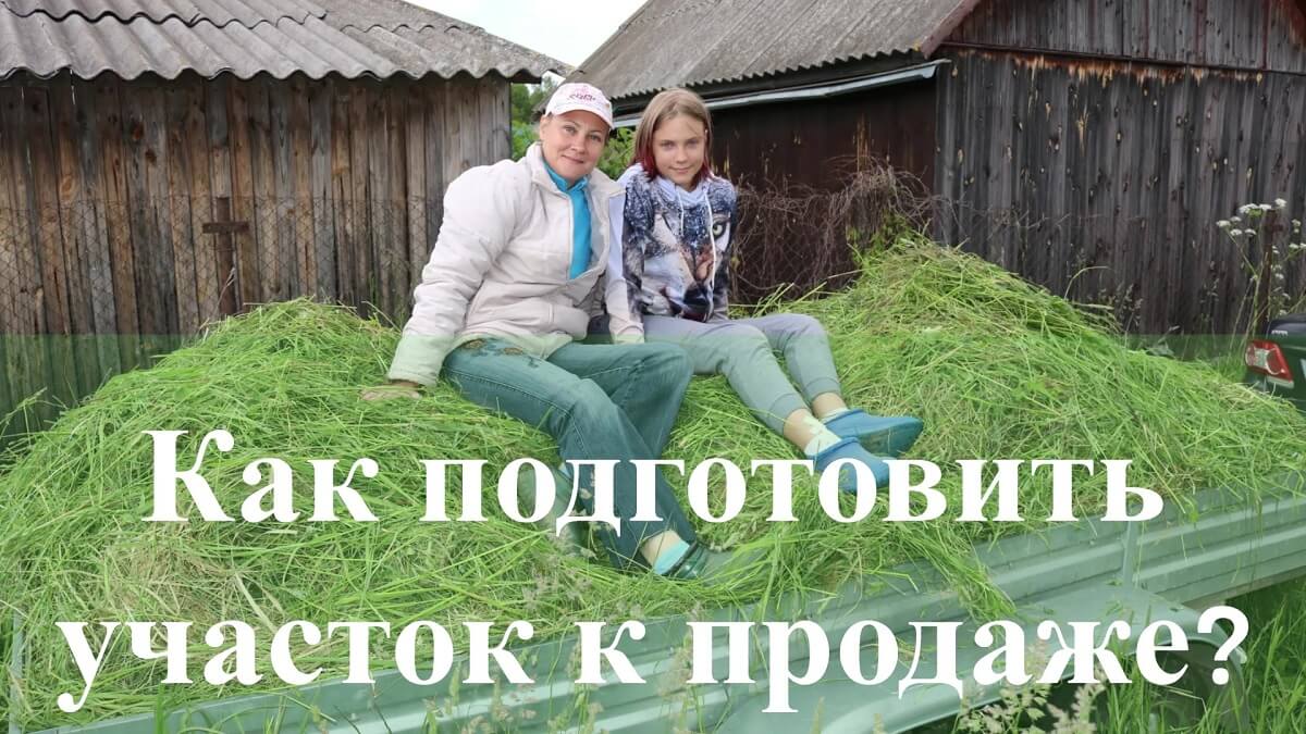 Как подготовить земельный участок к продаже?